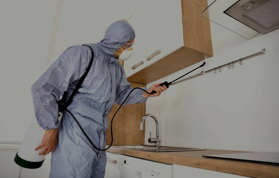 Davis pest managment
